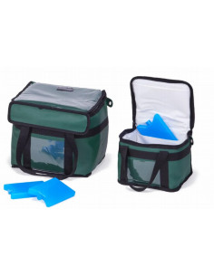 Aukstuma soma 10 l