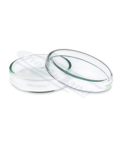 Stikla Petri trauks, Ø 100 × 15 mm