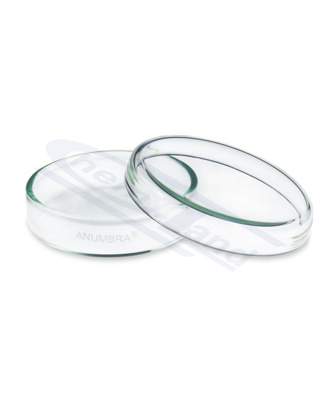 Stikla Petri trauks, Ø 100 × 15 mm