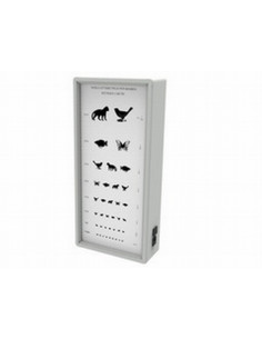 Apgaismota redzes tabula "Animals", 3–5 m